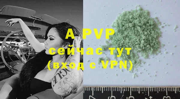 прущая мука Нея