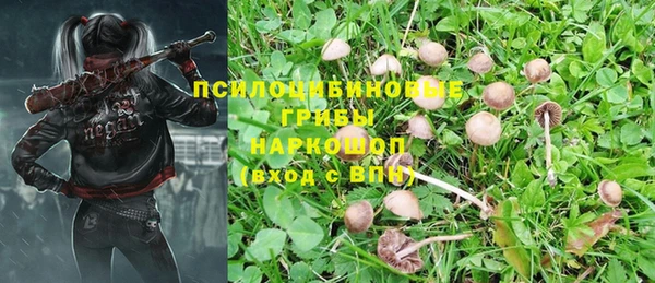 мдпв Нефтекумск