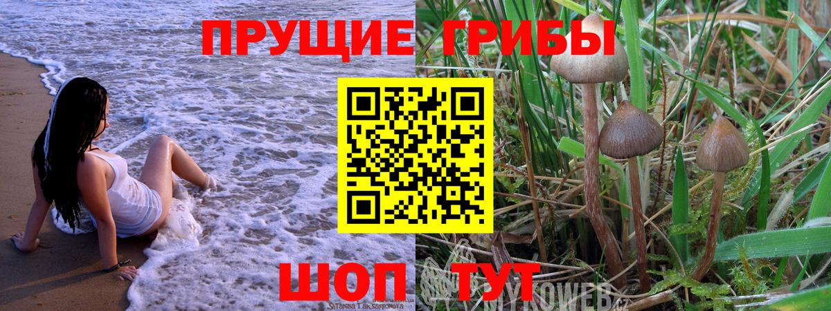 Псилоцибиновые грибы Magic Shrooms  Псилоцибиновые грибы прущие грибы  Вход с VPN  где купить наркотик  Березники 